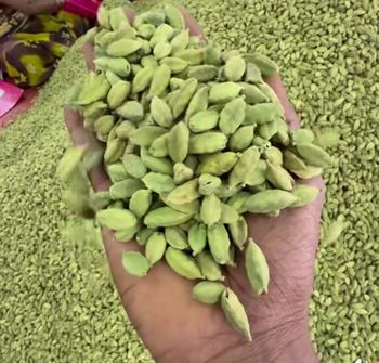 Green Cardomom Form Whole Delivery Form Bag Freshness Level Dried - NISWORLD - India