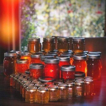 Dairy - Instant Dry Yeast - Honey  - Jam - Cakes - Dried Fruit - Tomato Paste - Saffron - Nuts - Spaghetti - Noodle - raisins - Pistachio - dates - farvardintejarat - Iran