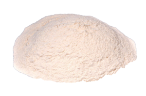 Psyllium Husk Powder - Gayatri Psyllium Industries - India