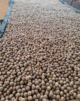 Macadamia Nuts – product photo, Vanilla Macadamia Nuts products found from trusted suppliers, wholesalers, manufacturers & exporters Listing
