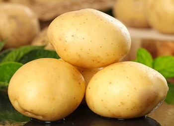 Wholesale Price fresh potatoes  – product photo, Potatoes products found from trusted suppliers, wholesalers, manufacturers & exporters Listing