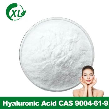 Hyaluronic Acid Powder CAS 9004-61-9 Cosmetic Ingredient Hyaluronic Acid - Xi'an Xinlu Biotechnology Co., Ltd. - China