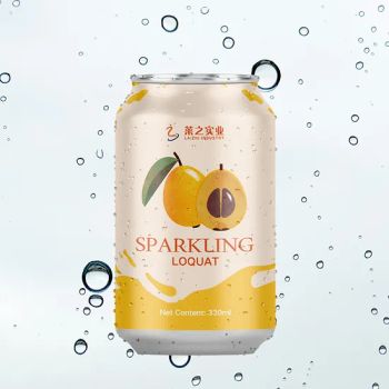 Custom Private Label Brand 500ml Canned Premium Passion Fruit Soda Drink Travel Soft Drink - Shandong Gaotang JBS Bioengineering Co., Ltd. - China