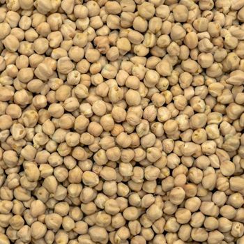 Kabuli Chickpeas With Low Moisture Content And Superior Grain Quality For Wholesale Importers And Food Suppliers - TOSOH INTERNATIONAL - South Africa