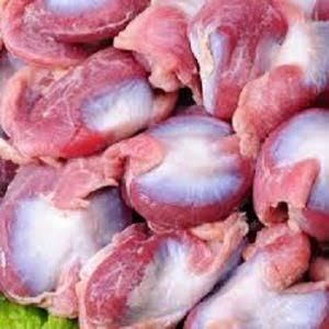 Organic Frozen Chicken Gizzard Body High-quality Top Grade Bulk Packaged Certified 2 Year Shelf Life Reasonably Priced from N.G westen holding B.V Organic Frozen Chicken Gizzard Body High-quality Top Grade Bulk Packaged Certified 2 Year Shelf Life Reasonably Priced - N.G westen holding B.V - Netherlands