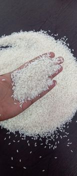 IR 64 Paraboiled rice and raw rice - Daksha global exports Pvt ltd - India