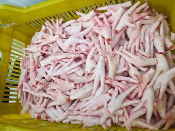 Frozen Chicken Paws Buy Top Grade - MT Trading GmbH - Germany