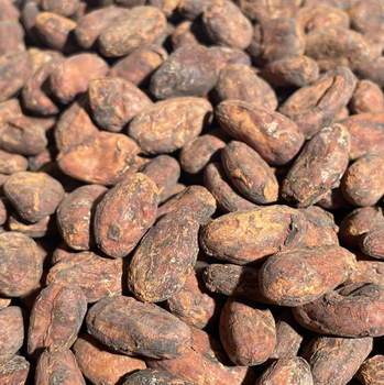 Top Quality Cocoa Beans from Kanal Gr Company Limited Top Quality Cocoa Beans - Kanal Gr Company Limited - Tanzania