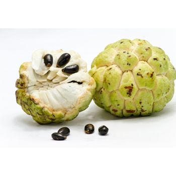 Fresh custard apple from vietnam with high quality and competitve price for export ready to shipping EU , US, ASIA Market - NGAN HOA PHAT TRADING SERVICE COMPANY LIMITED - Vietnam
