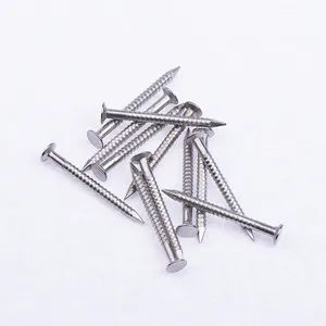 Stainless Steel Common Nail Steel Nails Iron Nails - Guangdong Taiyuanfeng Metal Products Co., Ltd. - China