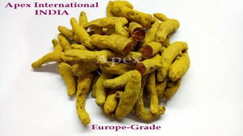 Dried Turmeric Fingers, Dried Turmeric Bulbs,Curcuma longa Finger,Curcuma longa, Turmeric Finger whole, Turmeric Finger, Dry Turmeric Finger, Turmeric Finger Roots, Turmeric Finger Bulk Supplier From India, Turmeric Root Bulk Supplier From India - APEX INTERNATIONAL - India