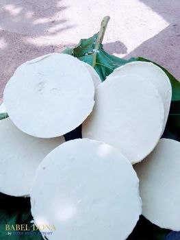 Premium Grade A Unrefined Shea Butter - 100% Natural Cold Pressed - Direct from Benin - ETS VIGNON & FILS SARL - Benin