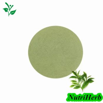 Best Ceremonial Grade Aaaaa Instant Matcha Tea Powder Matcha Green Tea Ice-Cream Bubble Tea - Nanjing NutriHerb BioTech Co., Ltd. - China