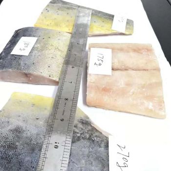Frozen Mahi Mahi Fish Premium Deep Frozen Seafood For Wholesale Distribution Foodservice Supply And Export Markets - TOSOH INTERNATIONAL - South Africa