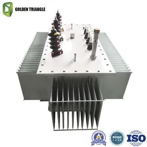 Premium Transformers at Competitive Prices for International Distribution - Golden Triangle Electric Power Technology Co., Ltd. - China