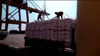 Agriculture, Food & Beverage - Treading Experts Malaga S.L. MEMBER OF HARVEST TRADE GROUP  - Netherlands