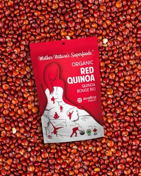 Red Quinoa - BF GLOBAL TRADING (PTY) LTD - South Africa
