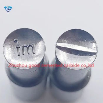 Tdp5/ Tdp0 Pills Custom Molds Press Punches Compression Machine Tablet Mold Die - Changsha Purple Moon Machinery Co., Ltd. - China
