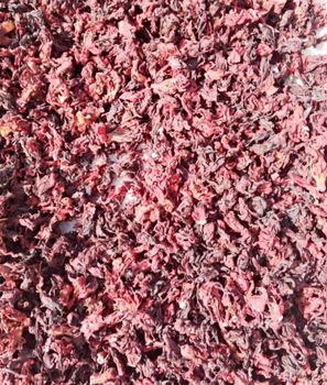Dried Hibiscus Flower - Ascot Agro and Food Processing Ltd - Nigeria