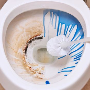 Toilet Cleaning Service Service Mode On Site Service Duration 10 Days Service Location Local Area Material Sourcing Supplier - Sunrise Enterprises - India