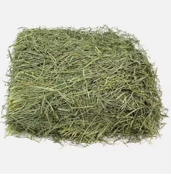 Top Quality Alfalfa Hay from TRADE NEPAL LLC Top Quality Alfalfa Hay - TRADE NEPAL LLC - United States