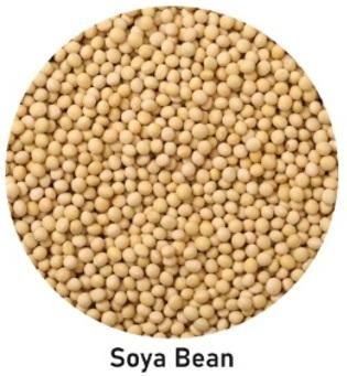 SOY BEANS NIGERIA ORIGIN from DRIHAJJ SOY BEANS NIGERIA ORIGIN - DRIHAJJ - Nigeria
