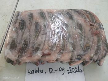 Filapia fish – product photo, Tilapia products found from trusted suppliers, wholesalers, manufacturers & exporters Listing