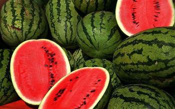 Fresh Watermelon Origin Indonesia Packing Method Standard Export Packing (reefer - PT. Syahdu Sejahtera Makmur - Indonesia
