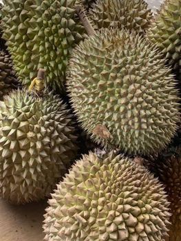 Durian – product photo, Fresh Durian Monthong products found from trusted suppliers, wholesalers, manufacturers & exporters Listing