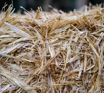 Wheat Straw, Alfalfa Hay  Moisture ~10% Admixture ~1%-2% Kernel Size 4-6 Mm Model Aa-s 20-25 Kg Foreign Matter 1% Max Broken Kernels 1% - MEME GROUP COMPANY LTD - Cameroon