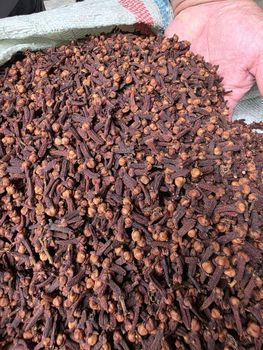 Cloves from CV PUTRA TELLO MANDIRI Cloves - CV PUTRA TELLO MANDIRI - Indonesia