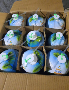 Natural Fresh Coconuts 9 Large Pieces per Carton PREMIUM FRESH TROPICAL COCONUTS 14.4kg Carton For Sale from Sosa Merchant Solutions Natural Fresh Coconuts 9 Large Pieces per Carton PREMIUM FRESH TROPICAL COCONUTS 14.4kg Carton For Sale - Sosa Merchant Solutions - Austria