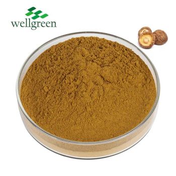 Herbal Extract 100% Natural Dried Shiitake Mushroom Powder Shiitake Mushroom Extract - Wellgreen Natural Co...Ltd - China