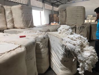Hot Selling Cotton Bales Best Quality for Textile Spinning Factory Price Bulk Wholesale Supply Available Raw WHATSAP +255787979235 - AL JABLI TRADING COMPANY LIMITED - Tanzania