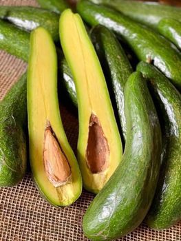 Good Quality Fresh Avocado of Viet Nam for Sales!!! Wholesale for Avocado Fresh Fruit Whatsap +255787979235 from AL JABLI TRADING COMPANY LIMITED Good Quality Fresh Avocado of Viet Nam for Sales!!! Wholesale for Avocado Fresh Fruit Whatsap +255787979235 - AL JABLI TRADING COMPANY LIMITED - Tanzania