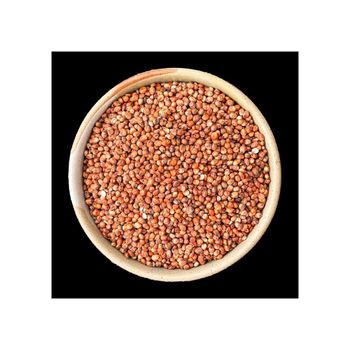 Wholesale sorghum grains bulk supply for food processing and milling - HIGHPROFILE AGRICULTURE SERVICES LIMITED - Tanzania