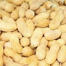 Raw Peanuts Groundnuts Grade A E Coli Absent In 1 G Aflatoxin B1 5 Μg/kg Max. Moisture (%) 12 Broken Kernels ≤ 5.0% Foreign Matter ≤ 1.0% - Balingi Trading Company (PTY) Ltd - South Africa