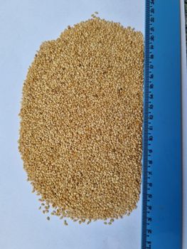 Sesame Seed from AUREA INTERNATIONAL TURKEY Sesame Seed – product photo, Black Sesame Seed products found from trusted suppliers, wholesalers, manufacturers & exporters Listing