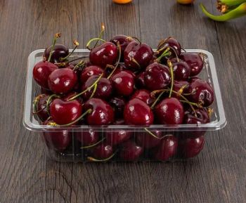 Disposable Pet Fresh Vegetable Meat Clear Fruit Supermarket Transparent Tray Boxes Supermarket Packaging Tray - Henan First Rise Technology Co., Ltd - China