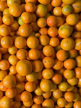 Oranges (PIXIES) from Dart Trading Co., Limited Oranges (PIXIES) – product photo, Oranges products found from trusted suppliers, wholesalers, manufacturers & exporters Listing