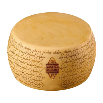 Grana Padano 10 months whole wheel 38 kg Italian Hard Cheese Shape Block Color Yellow Packaging Box Address Italy Shelf Life - Consorzio Gourm.it - Italy