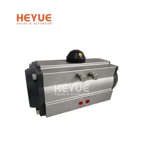 Customizable Stroke and Torque Pneumatic Valve Actuator for Special Requirements - Zhejiang Heyue Flowtech Co., Ltd. - China