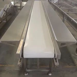 Professional Poultry Slaughtering Equipment for Large Scale Production - Yantai Guocheng Metal Products Co., Ltd - China
