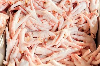 Frozen Chicken Feet Grade A — Export Quality, Halal Certified, Frozen at -18°C - Trapani Global Trade B.V. - United States