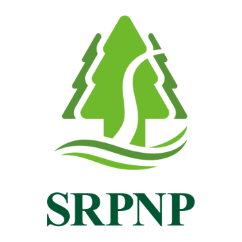 Product - Ningbo Sure Paper Co., Ltd - China