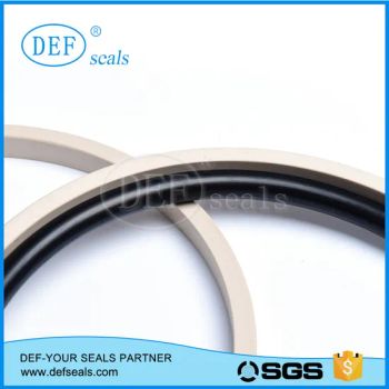 PTFE Heavy Duty Ceramic Machine Ring for Creamic Machinery---Omks - Guangdong DEF Seals Solutions Co., Ltd. - China