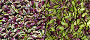 Pistachios kernels of A quality (Shelled pistachios) - K. MAKANIKAS SINGLE MEMBER PRIVATE COMPANY - Greece