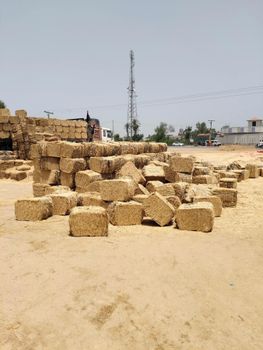 Wheat Straw - Rao trader - Pakistan