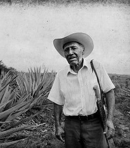 Product - AGAVE DE CORTÉS S DE RL - Global