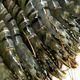 Black Tiger Shrimp / Black Tiger Prawn - Smart Agri GmbH - Germany